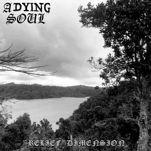  A Dying Soul - Relief Dimension (2024) 