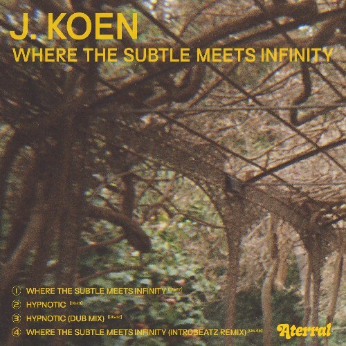  J. Koen - Where the Subtle Meets Infinity (2025) 